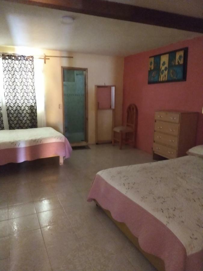 El Paraiso De Zacatlan Departamento Con Jardin, 11 Pax 外观 照片